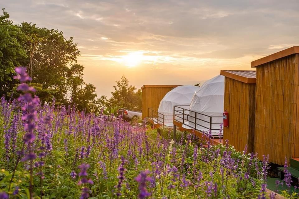 Luxury tent เขาเเสงจันทร์ ม่อนเเจ่ม Mon Jam